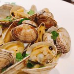 創作イタリアン Gemelli - パスタが見えないくらいアサリのっけてくれた♪( ´▽｀)