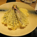 Udondokoro Matsu - なす天生醤油