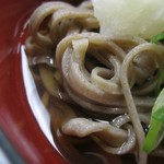 藤波亭 - 越前セット　の　おろしそば