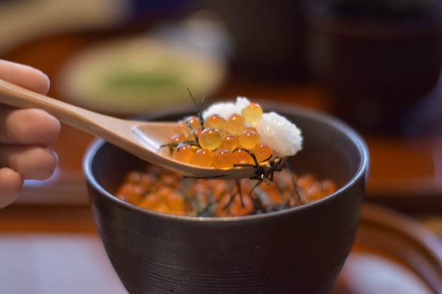 茶寮 拓膳 児島 寿司 食べログ 茶寮 拓膳 児島 寿司 食べログ