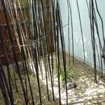 そば辰 - 店内から見た外側（１）