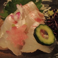 わさび - 明石鯛ＵＰ
