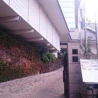 リストランテ カノビアーノ - 