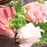 飲んべぇ食堂 らくだ屋 - 刺身３点盛り