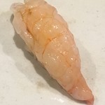 鮨匠 のむら - ナミクダヒゲ海老