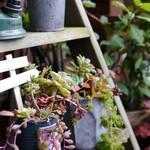 贈りもの菓子食堂 Ｍouette - 