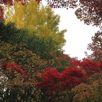 THE SODOH HIGASHIYAMA KYOTO - 