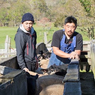 店主遍訪產地精選的終極“羊肉”