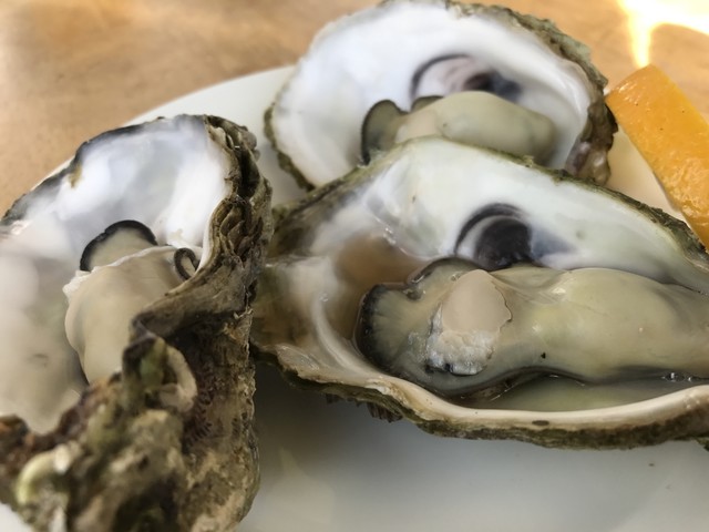さざ波 賢島 魚介料理 海鮮料理 食べログ さざ波 賢島 魚介料理 海鮮料理 食べログ