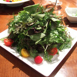 ジャッジョーロ ハーブハウス - 15種類のハーブサラダランチ(1200円)