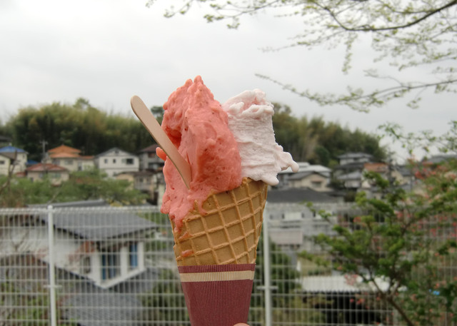 Latte ラッテ 津山 アイスクリーム 食べログ