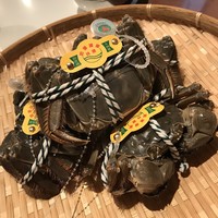 神田 雲林 - 