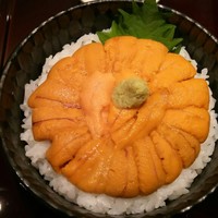 函館うに むらかみ 日本生命札幌ビル店 - 生うに丼4320円