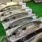 玄海みなとん里 - ゴマサバ。まるまると太ってますね～
