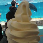 ドルフィンジャンプ - ソフトクリームとイルカショー♪