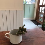 サンセット クッキーズ ジャスミン - 