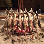 柳家 - 馬瀬川の鮎