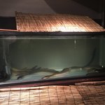 にょろ助 瓢六亭 - 長良川産天然鰻