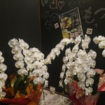 名古屋もつ焼き ひとすじ - お祝いのお花