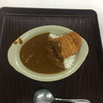 カケショク - カツカレー 450円 本当にこれだけ。
            福神漬けもない。サラダも付かない。
            ガッカリの内容。