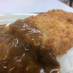 カケショク - カツカレー 450円 本当にこれだけ。
            福神漬けもない。サラダも付かない。
            ガッカリの内容。