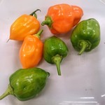 自然派中華 クイジン - 持参した自家栽培のフレッシュハバネロ