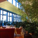 アロマフレスカ 博多 - 気取らない印象を与えながらも、全体的には落ち着いた雰囲気の店内