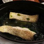 アロマフレスカ 博多 - アラの海藻蒸し　ポロネギと浅利のソース