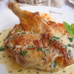 ルグドゥノム ブション リヨネ - 本日の肉料理(若鶏のロースト　クリームソース(正式名称は不明))。