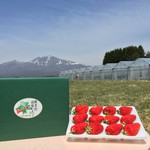 いちごギフトセット（お土産品）