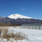 軽井沢ガーデンファームいちご園 - 四季折々の変化をお楽しみください