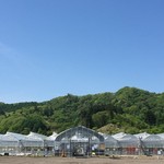 軽井沢ガーデンファームいちご園 - 【冬春いちご】いちご狩りハウス正面です