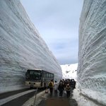 室堂駅売店 - 雪の大谷ウォーク