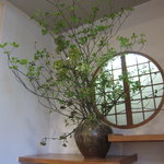 鰻家 - 2011/05/05のお花