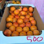 ぶさいく屋 - やっす！