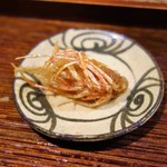 まつ瀬 - 車海老の頭