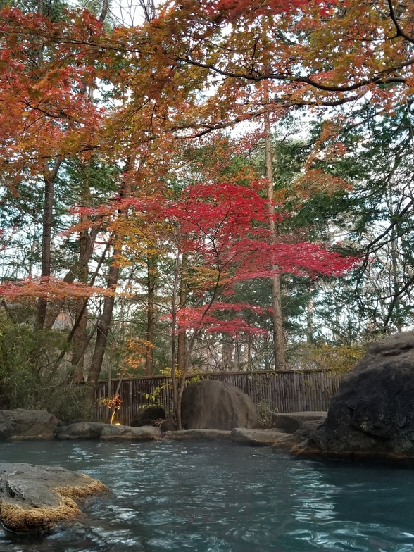 那須温泉 山楽 name=