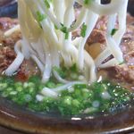 風遊斎 - カメ カメースバの麺