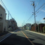 フライドチキン - 外観