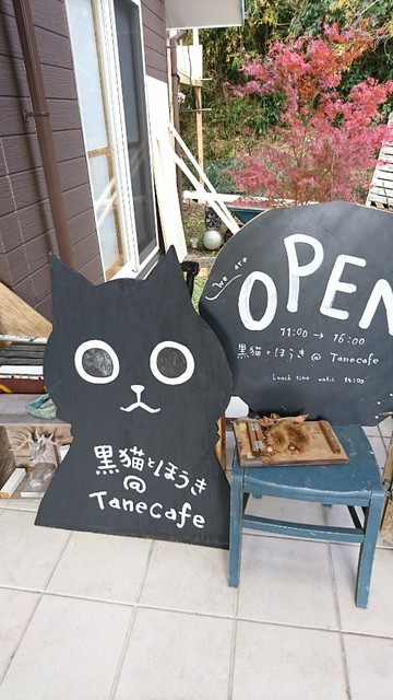 タネ カフェ Tane Cafe 尾張瀬戸 カフェ 食べログ
