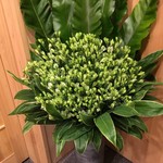 鮨 あらい - 森美樹氏