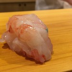 鮨 あらい - ボタンエビ