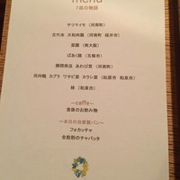 oasi - 