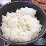 帯広ぶた丼 - ライス250g位を追加で貰う