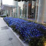 過門香 點 有楽町イトシア店 - 