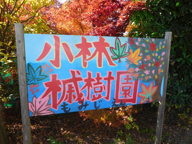 小林もみじ園 戸塚安行 その他 食べログ
