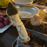 かたつむり - キヌガサタケ