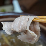 かたつむり - 猪UP