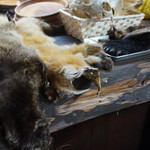 かたつむり - なんか色々(^_^;)