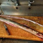 にょろ助 瓢六亭 - 琵琶湖産天然大鰻